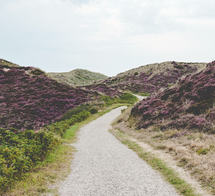 pathway